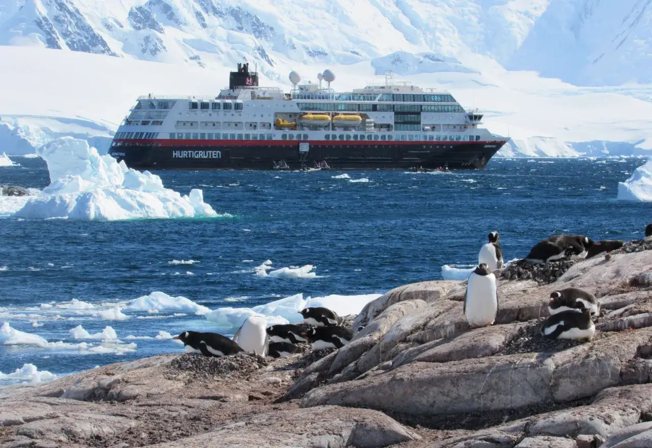 Rejs na Antarktydę z Hurtigruten. Sprawdź cenę wycieczki i zobacz pingwiny na tle lodowców i statku.