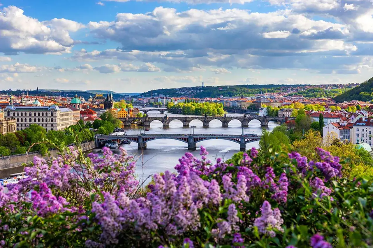 Praga in primavera, con i suoi ponti sul fiume Moldava e i fiori lilla in primo piano, è il periodo migliore per andare a Praga.