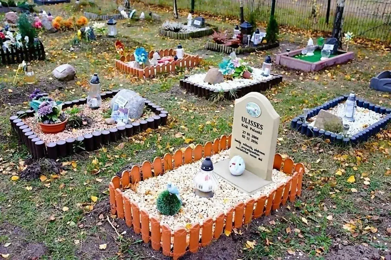 przepisy poch&oacute;wek zwierząt domowych Polska