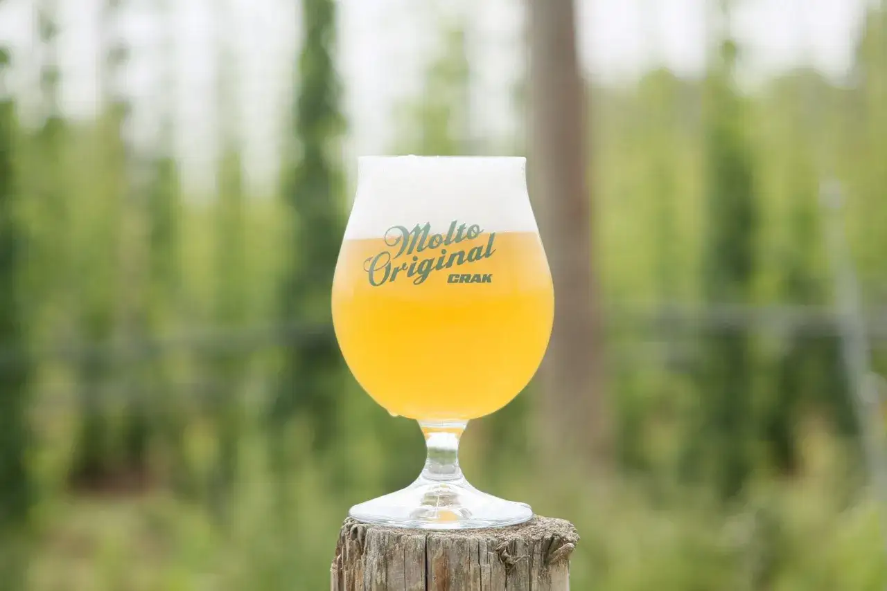 Bicchiere di birra artigianale dal colore dorato intenso, con schiuma bianca e cremosa. Sulla coppa, il logo 