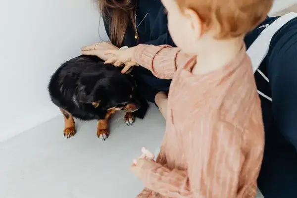 dziecko z psem objawy alergii
