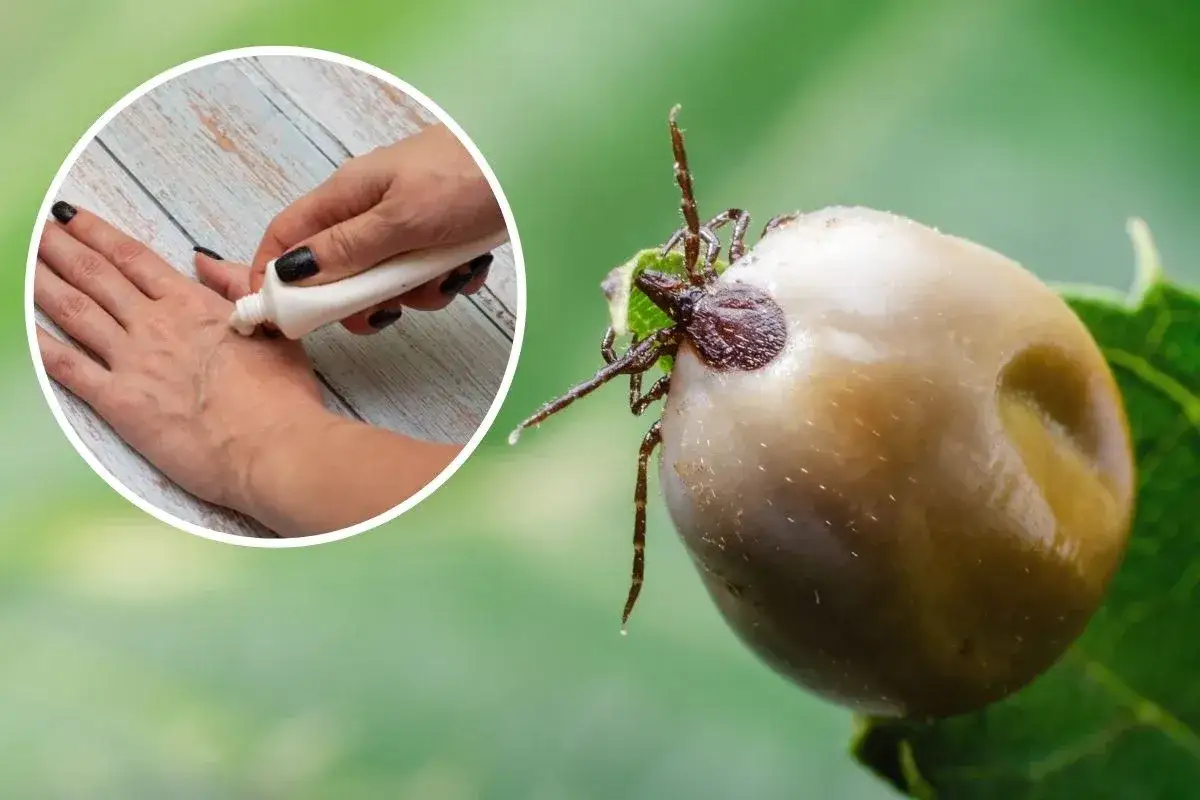 Domowy spray na kleszcze przepis