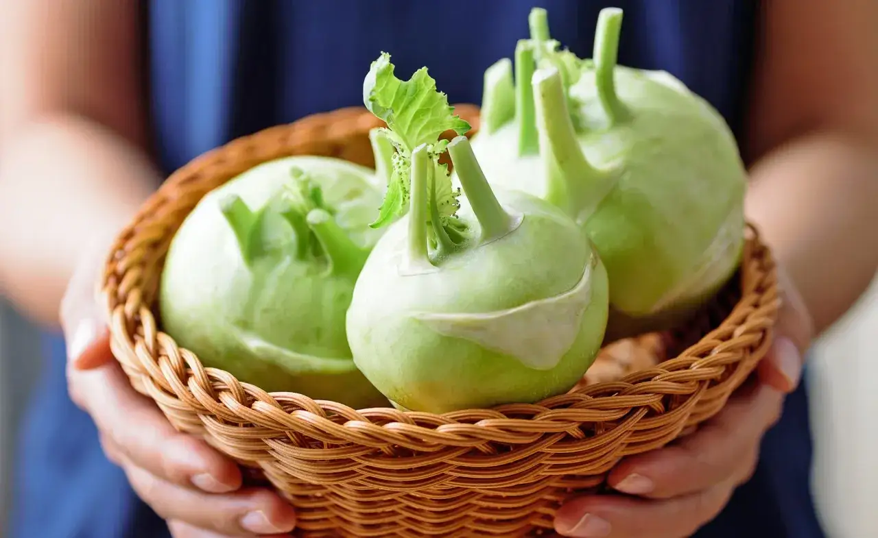 Frische Kohlrabi in einem Korb, bereit zur Lagerung.