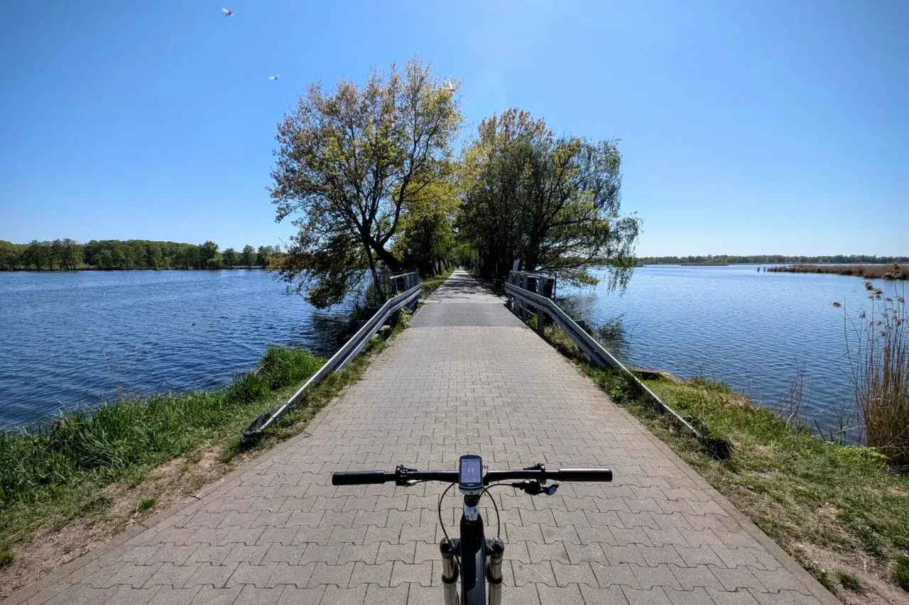 Rowerem po malowniczych trasach rowerowych Doliny Baryczy. Ścieżka wije się nad wodą, otoczona zielenią i drzewami.