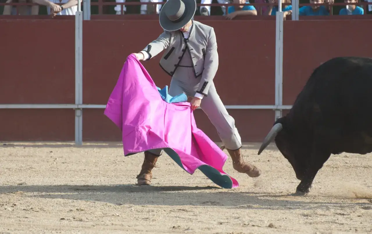 Un torero con traje de luces y sombrero gris maneja una capa rosa y azul ante un toro negro. Es tiempo de toros.