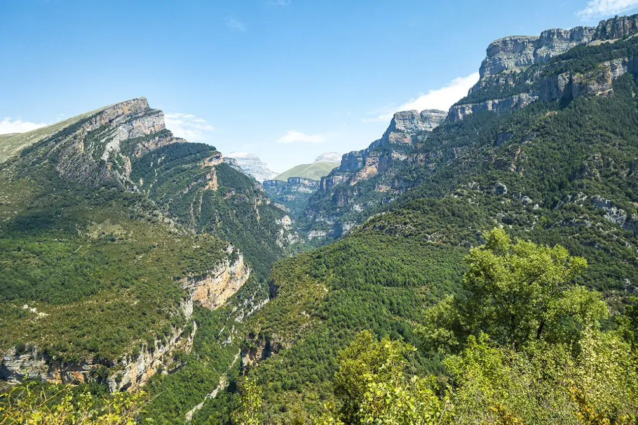 Vue spectaculaire du **Cañon de Añisclo**, avec ses falaises abruptes et ses pentes couvertes de forêts luxuriantes sous un ciel bleu clair.