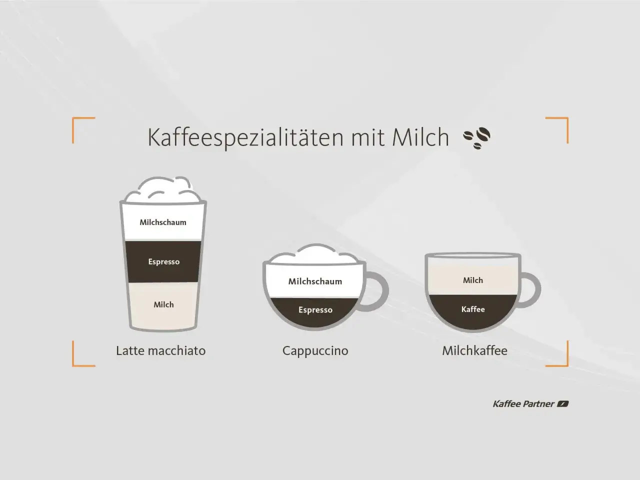 Drei Kaffeespezialitäten mit Milch: Latte macchiato, Cappuccino und Milchkaffee, mit ihren Schichten aus Kaffee, Milch und Milchschaum.