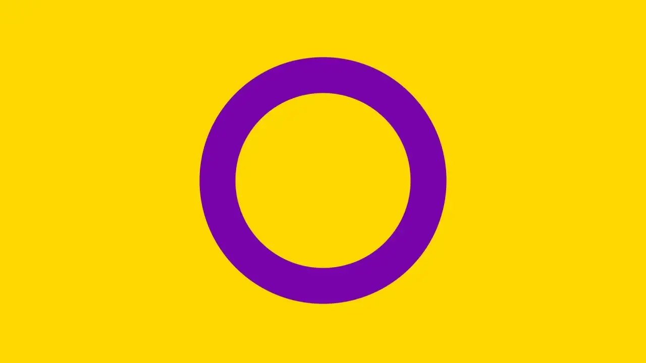 Intersex-Flagge: Gelber Hintergrund mit einem violetten Kreis. Sie repräsentiert Menschen, die nicht eindeutig als halb Mann, halb Frau oder beides gelten.