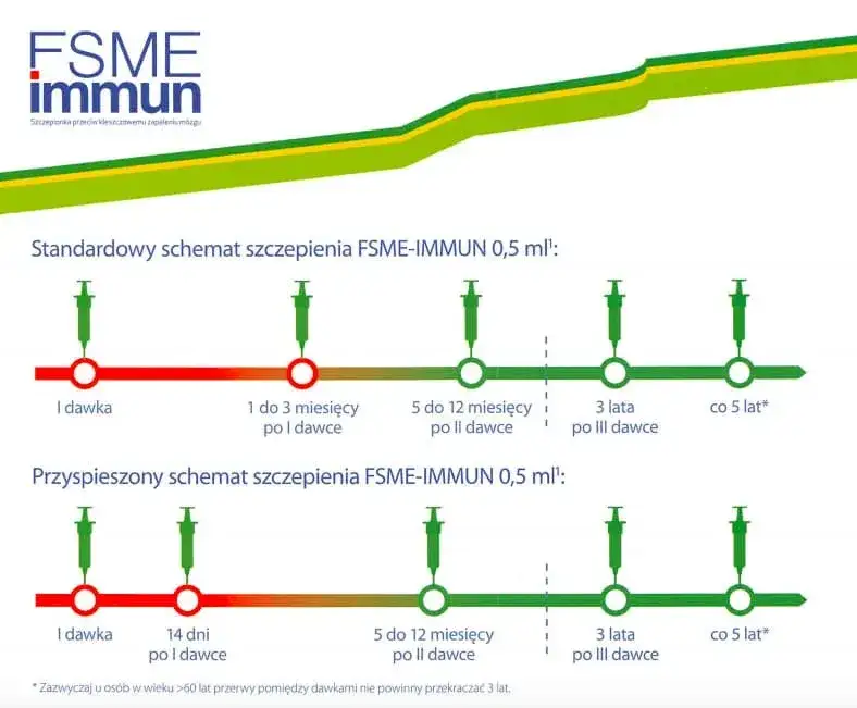 FSME-Immun Encepur por&oacute;wnanie szczepionek KZM