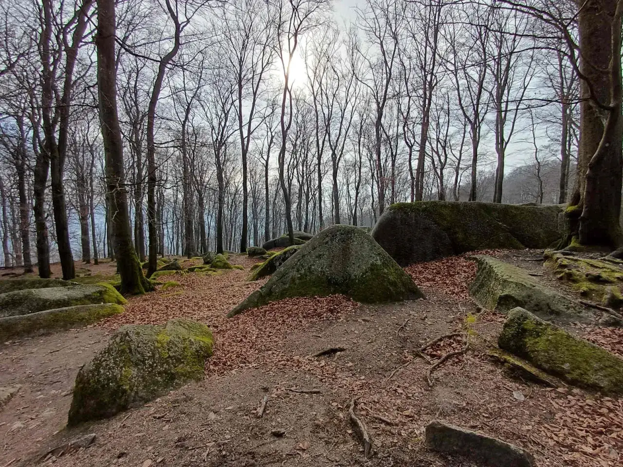 Moosbewachsene Felsen und kahle Bäume säumen den Weg beim Odenwald Wandern. Ein mystischer Ort, der zum Erkunden einlädt.