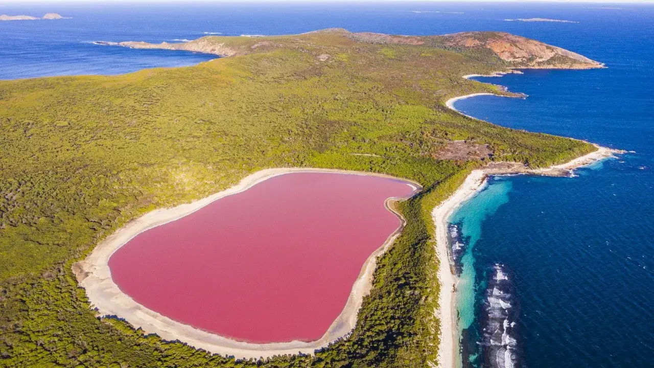 Niezwykłe różowe jezioro w Australii otoczone zielenią, z błękitnym oceanem w tle.