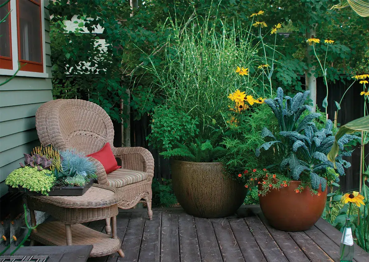 Une belle idée composition jardinière extérieure avec une chaise en osier, des graminées, des fleurs jaunes et du chou kale.