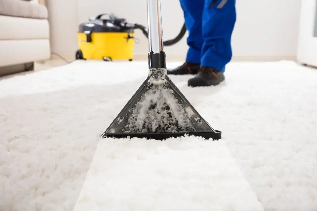 A professional shows how to clean a rug using a carpet cleaner, leaving a bright white path on the fluffy carpet.