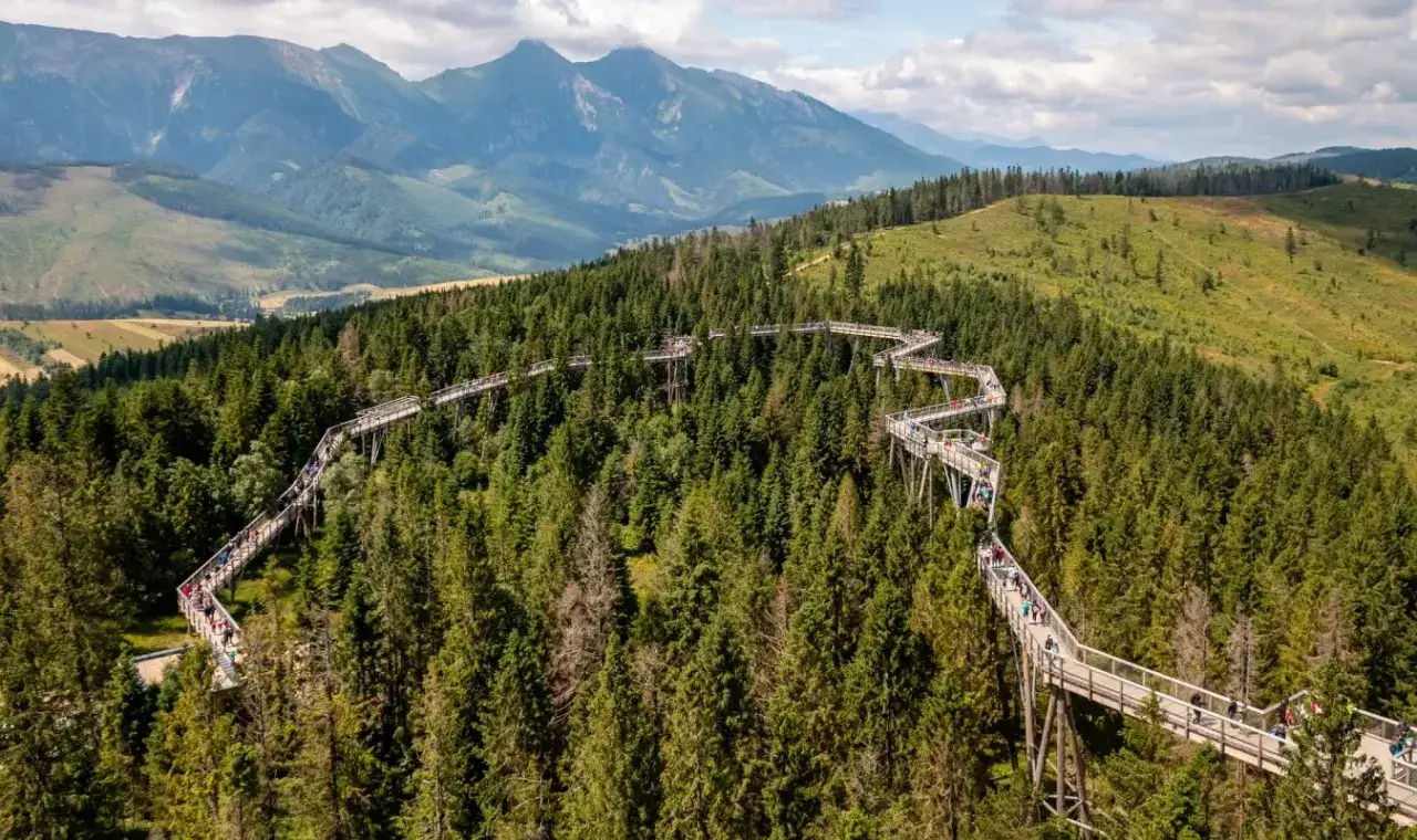 Ścieżka w koronach drzew w Bachledce, Słowacja, to jedna z najpiękniejszych atrakcji turystycznych. Widok na Tatry zapiera dech w piersiach.