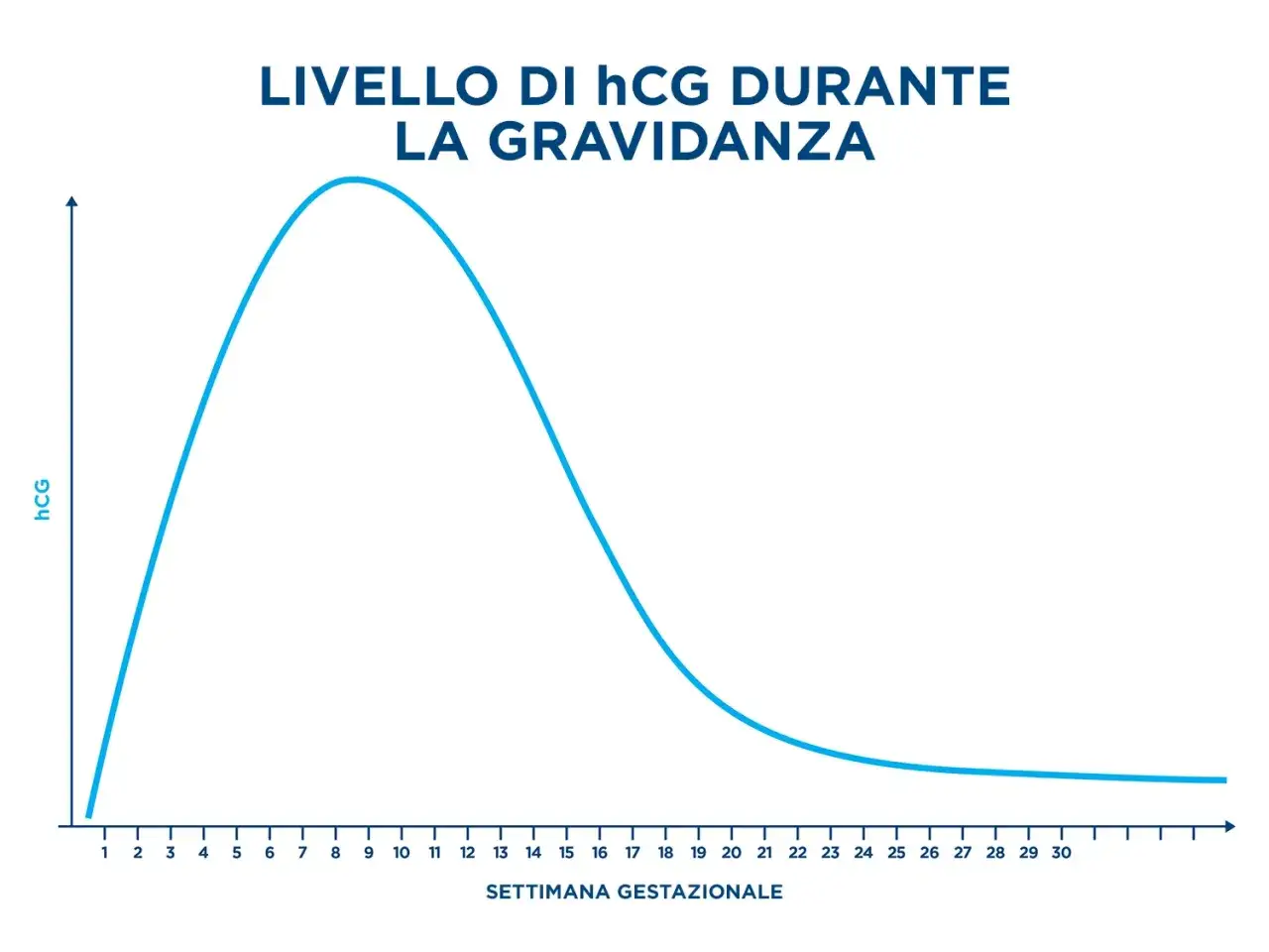 Grafico mostra l'andamento del beta hcg durante la gravidanza, con un picco intorno alla 10ª settimana e poi un calo progressivo.