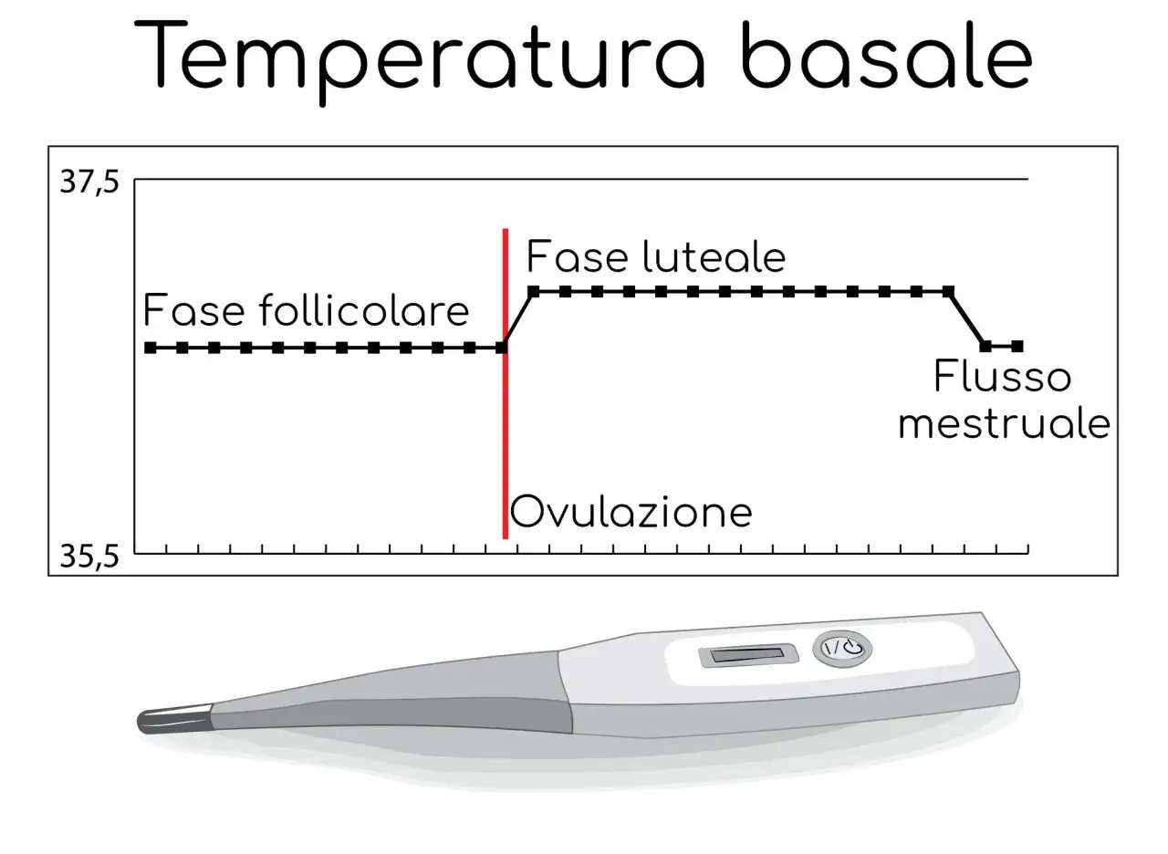 Grafico della temperatura basale prima del ciclo, mostra la fase follicolare, ovulazione e fase luteale, con un termometro.