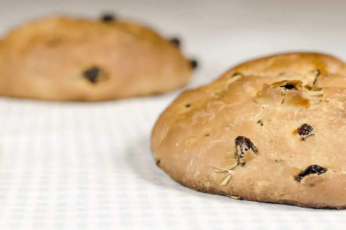 Due panini dorati con uvetta e rosmarino, un delizioso pan di ramerino, su una tovaglia a quadretti.