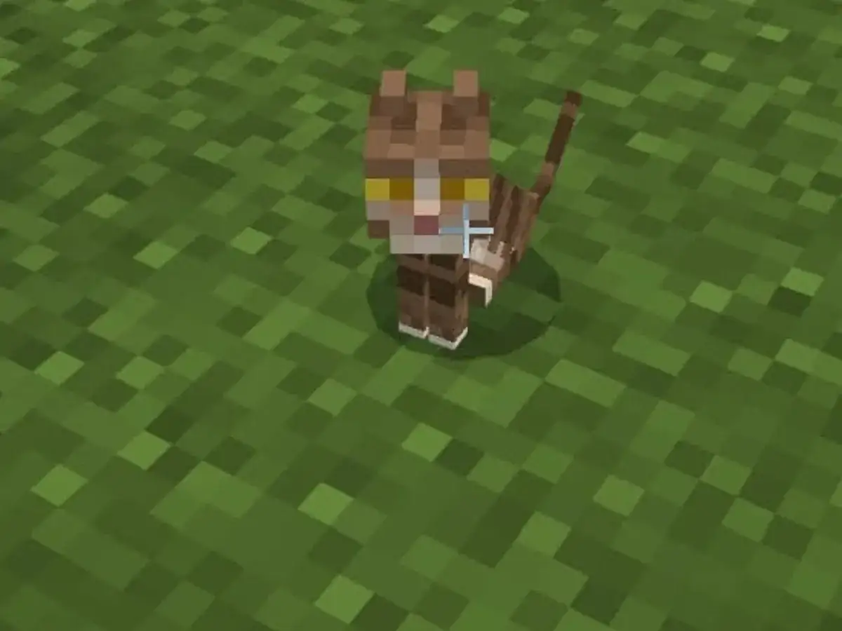 Oswajanie kota w Minecraft to proste! Ten brązowy kotek z żółtymi oczami czeka na Ciebie. Daj mu rybę, a zostanie Twoim towarzyszem.