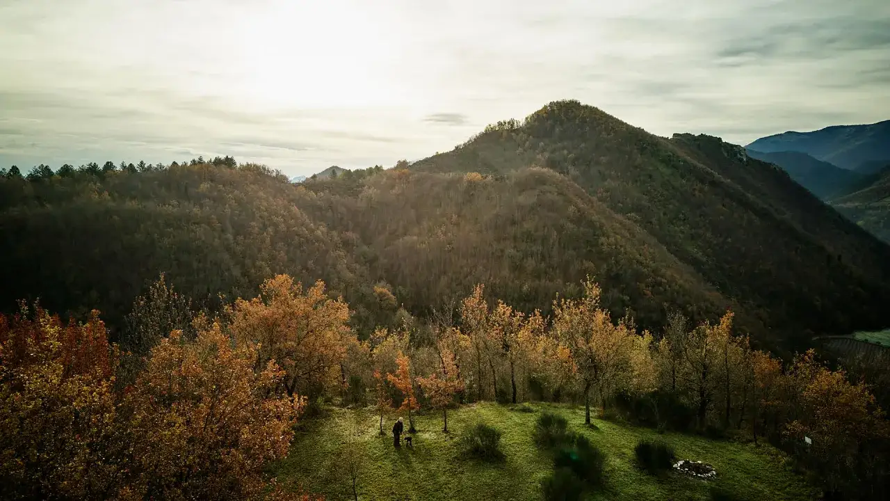 Uomo e cane cercano tartufo nelle Marche, tra colline autunnali e boschi dorati.