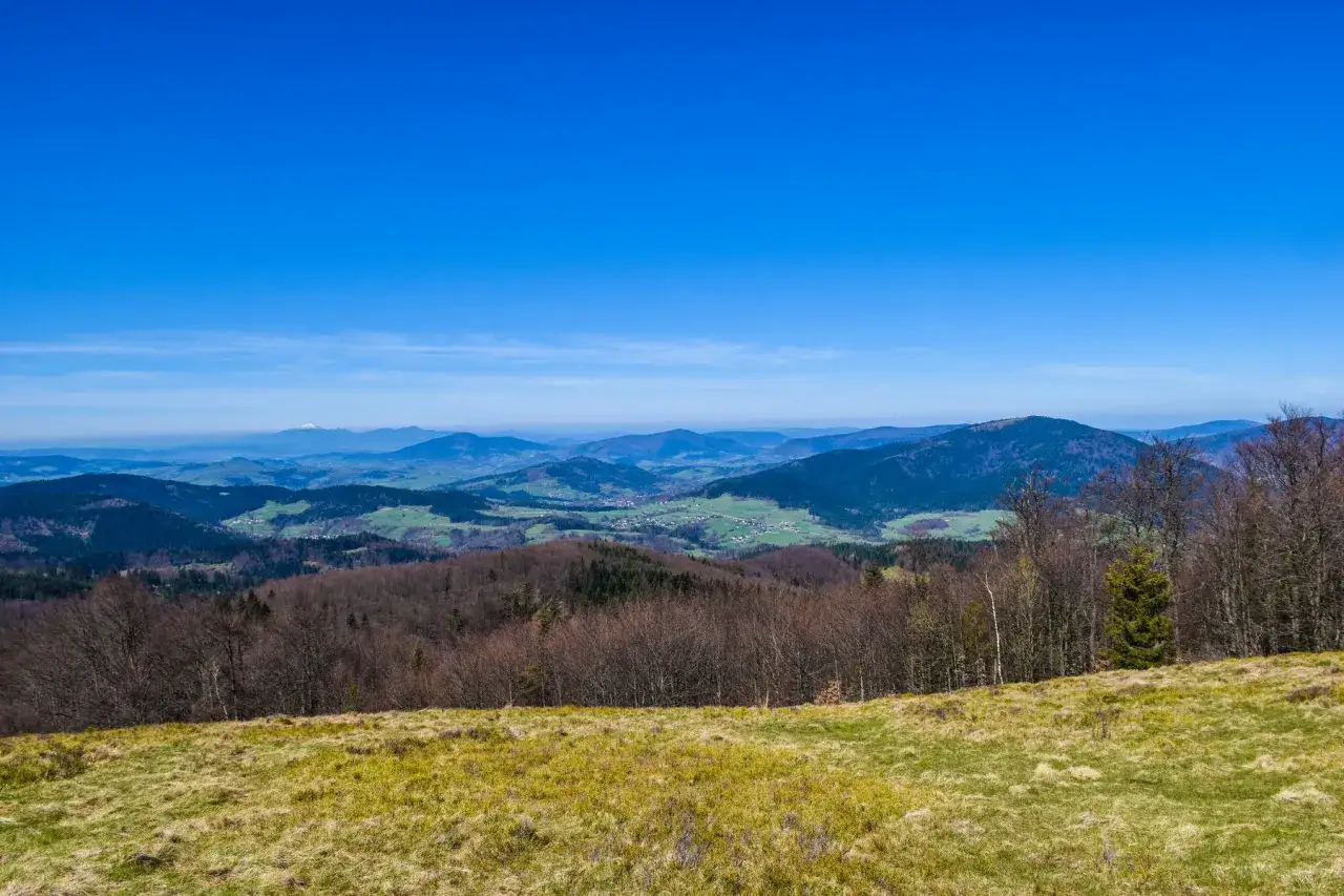 Widok z przełęczy Rydza Śmigłego na Beskid Sądecki. W oddali majaczą Tatry.
