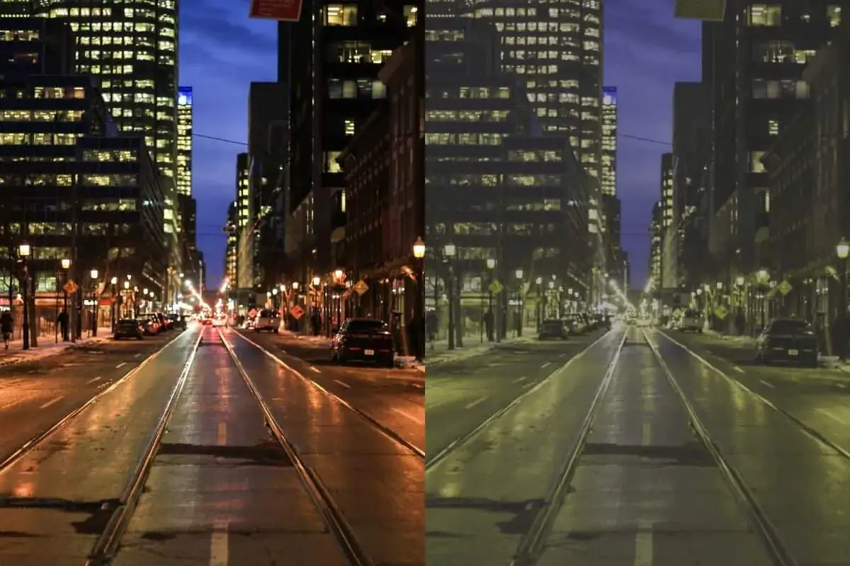 Split image shows a city street at night. Left side is warm-toned, right side is desaturated, illustrating how dogs see the world with less color.