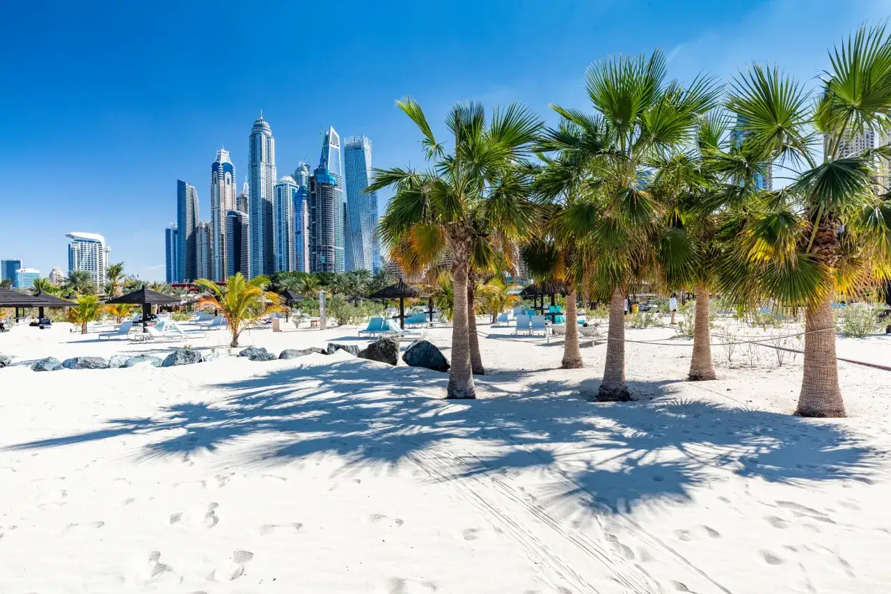 Piękna plaża w Dubaju, palmy i drapacze chmur. Idealna dubaj pogoda luty na relaks.