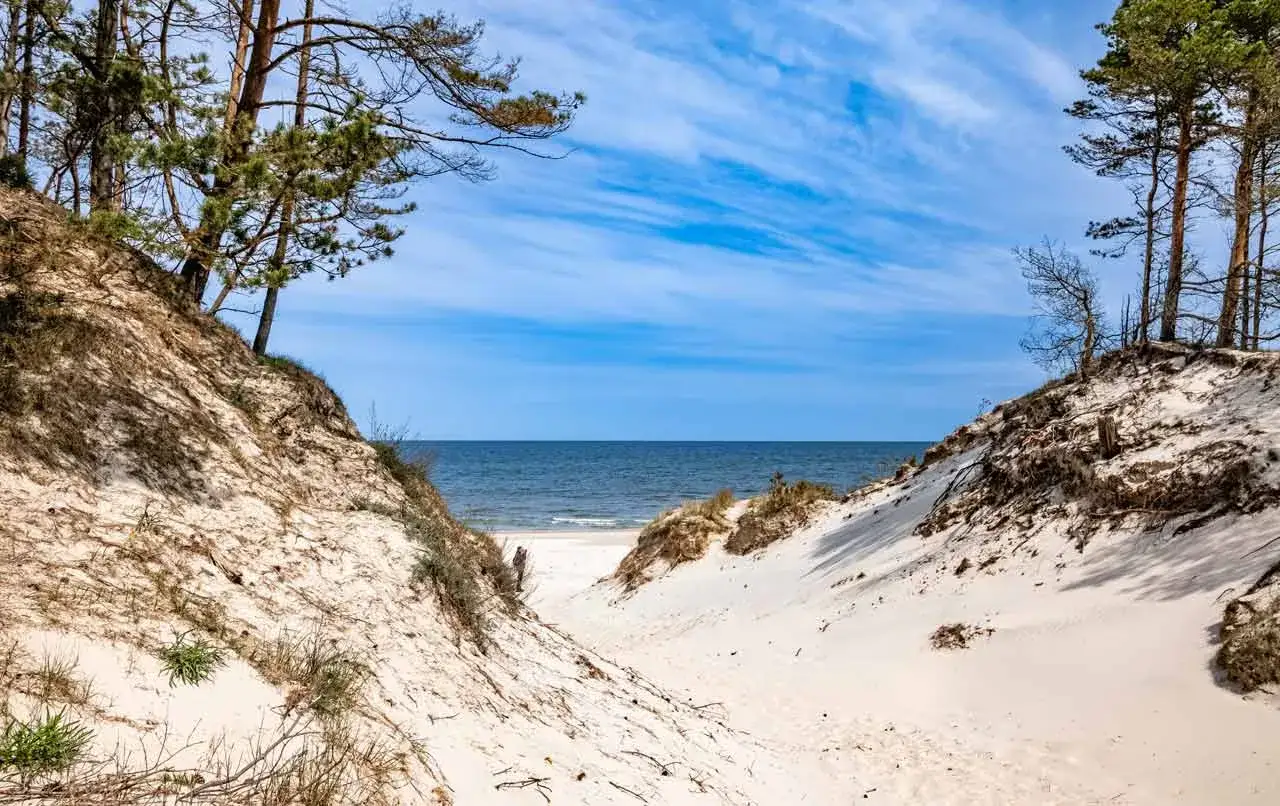 Sandd&uuml;nen mit Kiefern f&uuml;hren zum blauen Meer an der polnischen Ostsee.