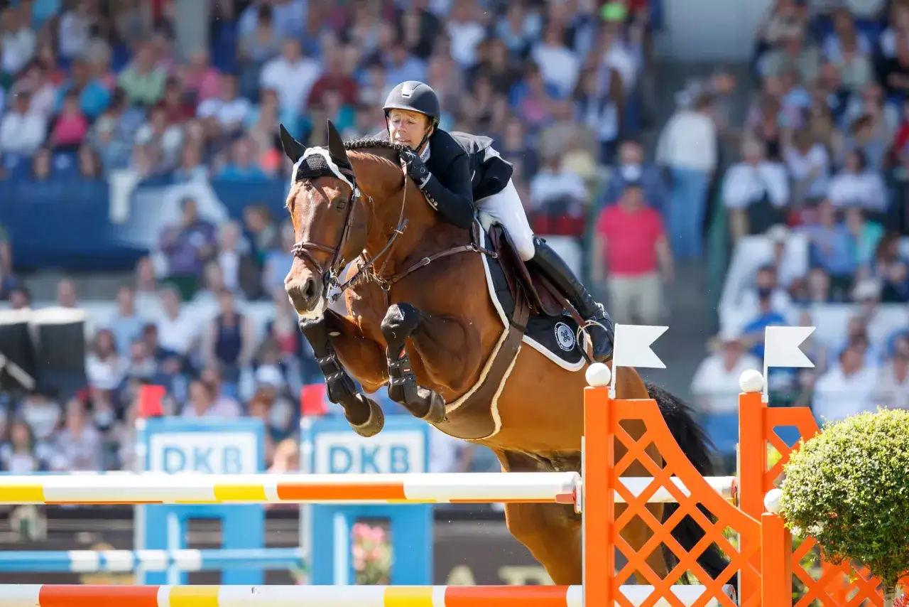 Le meilleur cavalier du monde et son cheval brun franchissent un obstacle, sous les regards d'une foule attentive.