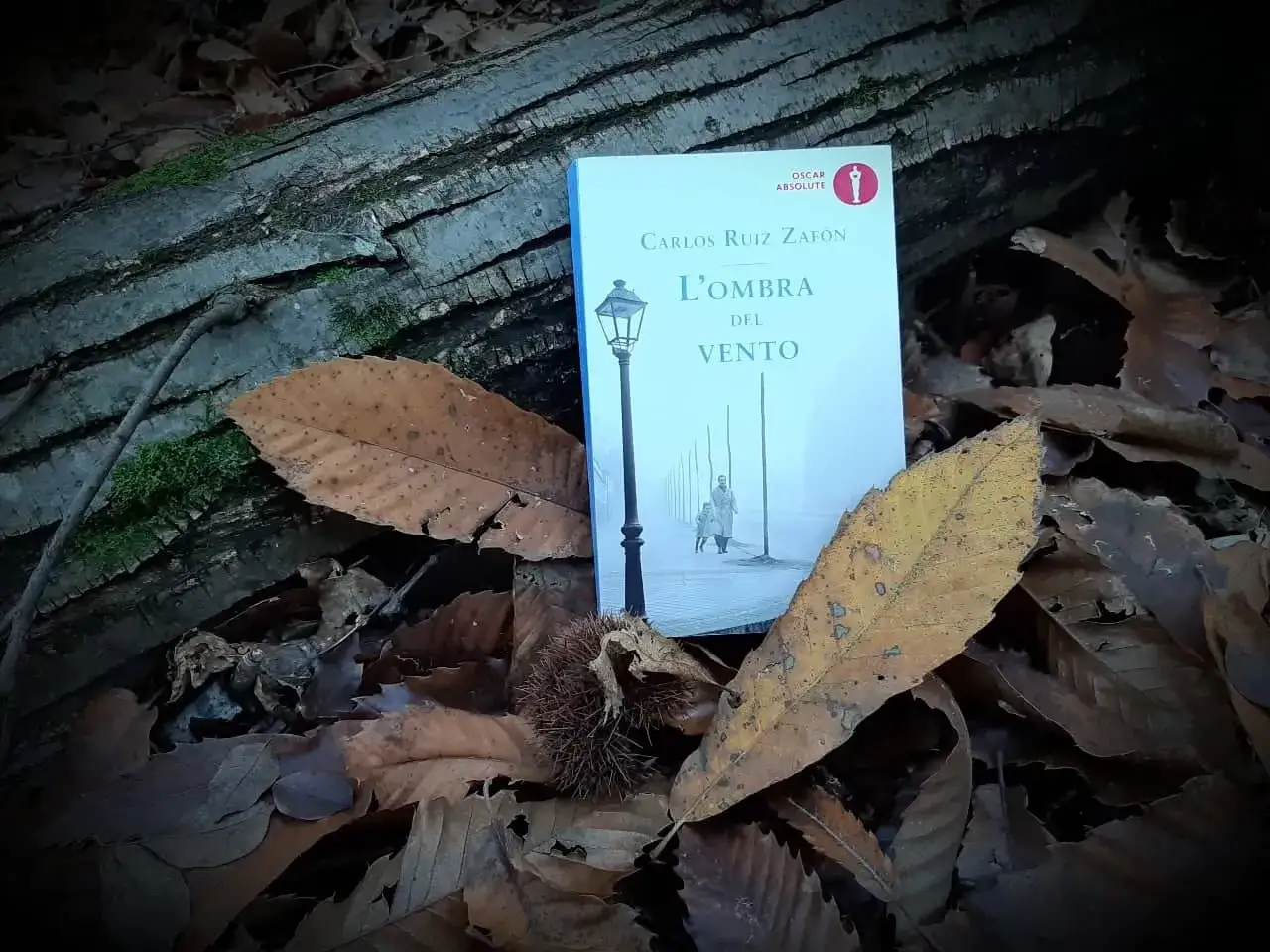 Il libro 