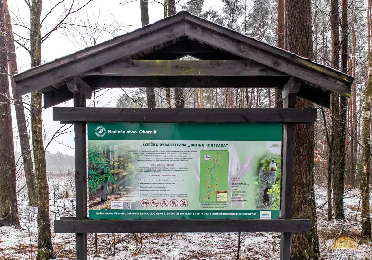 Tablica informacyjna w lesie, przy ścieżce dydaktycznej &bdquo;Dolina Kończaka&rdquo; w Nadleśnictwie Oborniki. W tle zimowy las, widoczna dąbr&oacute;wka leśna.