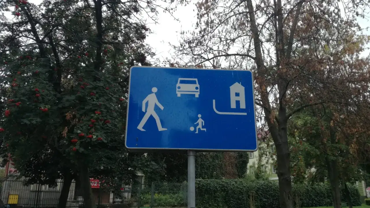 Znak informuje o strefie zamieszkania, gdzie piesi i dzieci bawiące się piłką mają pierwszeństwo przed samochodami.