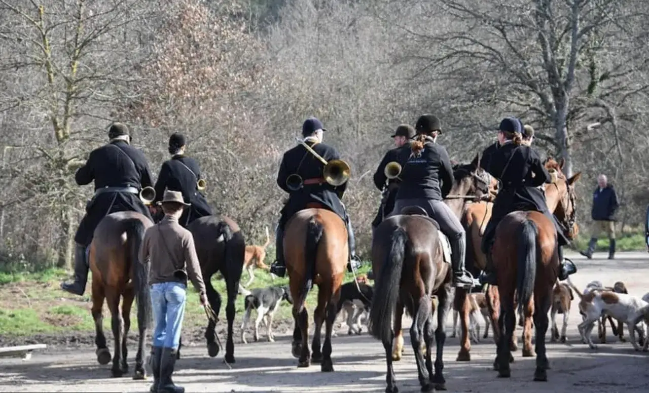 Cavaliers en tenue de chasse &agrave; courre, pr&ecirc;ts pour la traque. Des chiens de meute accompagnent le cheval chasse &agrave; courre.