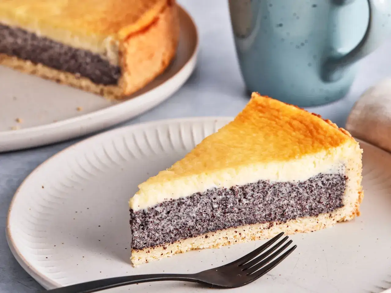 Ein saftiges St&uuml;ck Mohn Schmand Kuchen mit goldbraunem Boden und cremigem Belag.