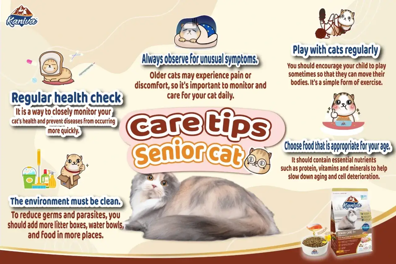 Infographic with tips for senior cat care, including regular health checks, observing symptoms, clean environment, play, and appropriate food.