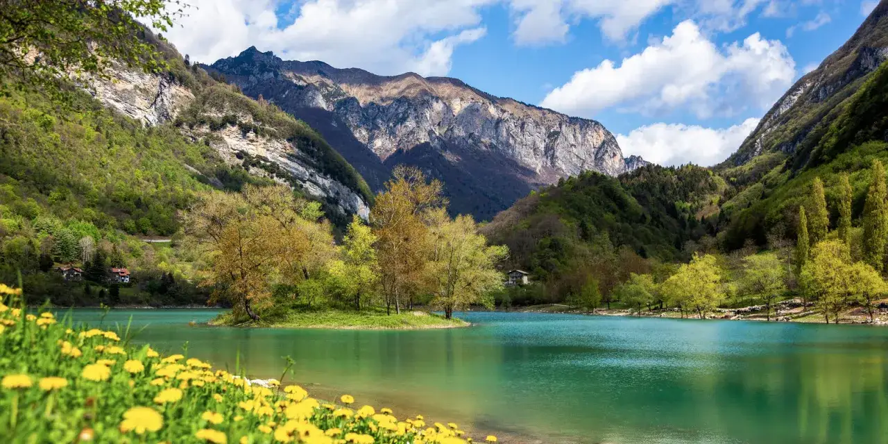Prato fiorito di gialli ranuncoli e un'isola verde nel **lago di Tenno**, circondato da montagne boscose e un cielo azzurro con nuvole bianche.