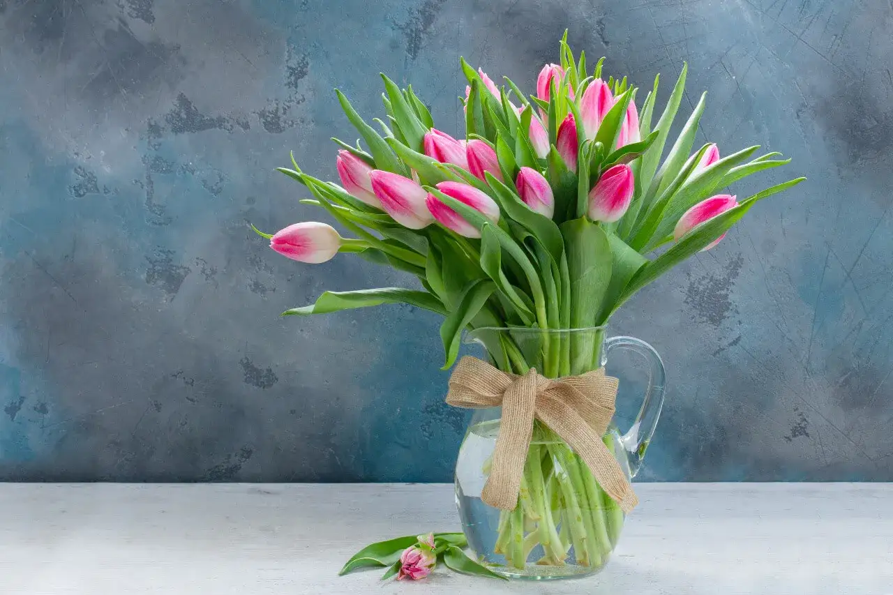 Piękne, r&oacute;żowe tulipany w szklanym wazonie z jutowym sznurkiem. Dowiedz się, jak utrzymać tulipany w wazonie, by cieszyć się nimi jak najdłużej.