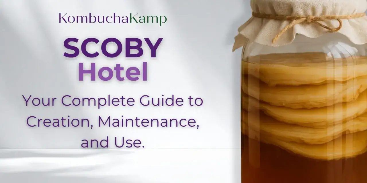 hotel dla scoby