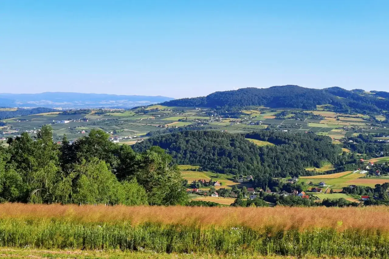 Malowniczy krajobraz z pagórkami, lasami i polami uprawnymi, idealny na trasę nad Jezioro Rożnowskie.