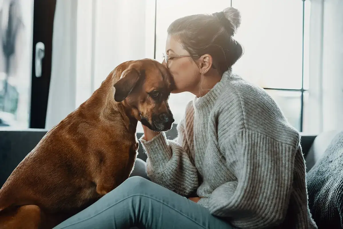 En kvinna kysser sin hund p&aring; pannan. En trygg omplacering hund som finner k&auml;rlek och trygghet.