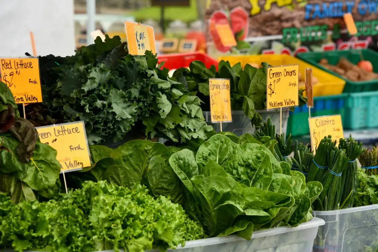 Verdure di stagione ad aprile: lattuga, cavolo riccio e cipollotti freschi in esposizione.