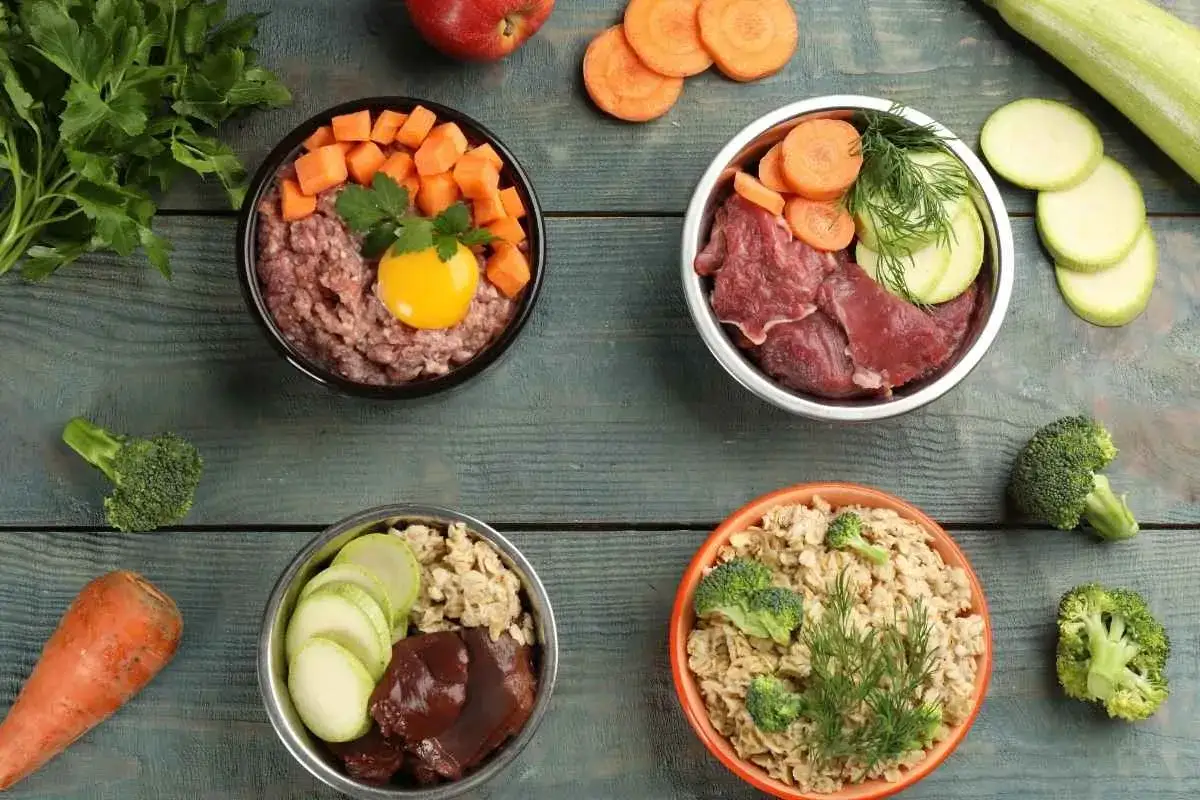 Cuatro tazones con comida para perros: carne cruda, huevo, zanahoria, calabacín, brócoli y avena. Los perros pueden comer carne cruda.