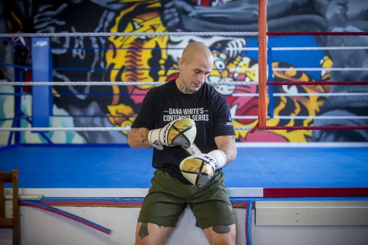 En man med rakad skalle och handskar förbereder sig för fcr mma i en boxningsring med en tigerbakgrund.