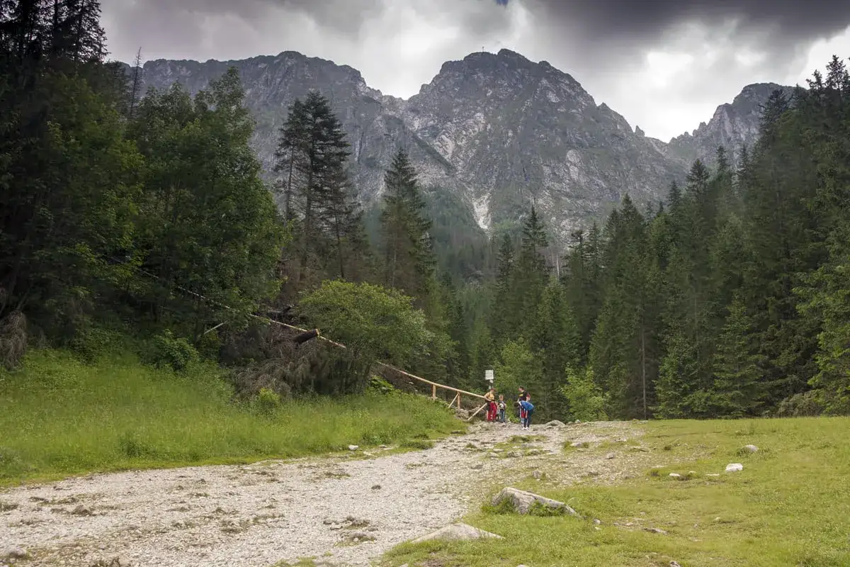 Rodzina wędruje szlakiem przez las w Dolinie Strążyskiej, w tle majestatyczny Giewont.