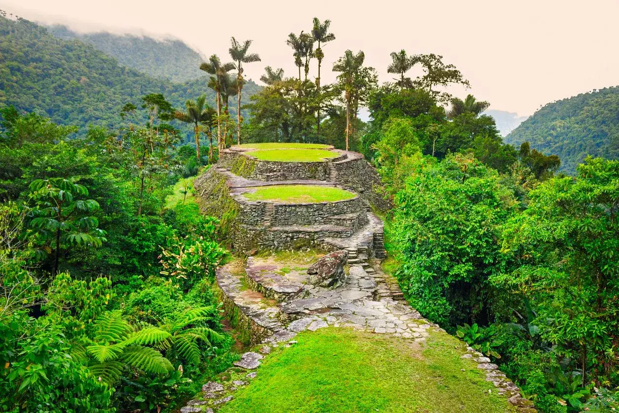 Terrazas de piedra y césped verde adornan la **ciudad perdida Colombia**, rodeada de exuberante vegetación y palmeras altas.