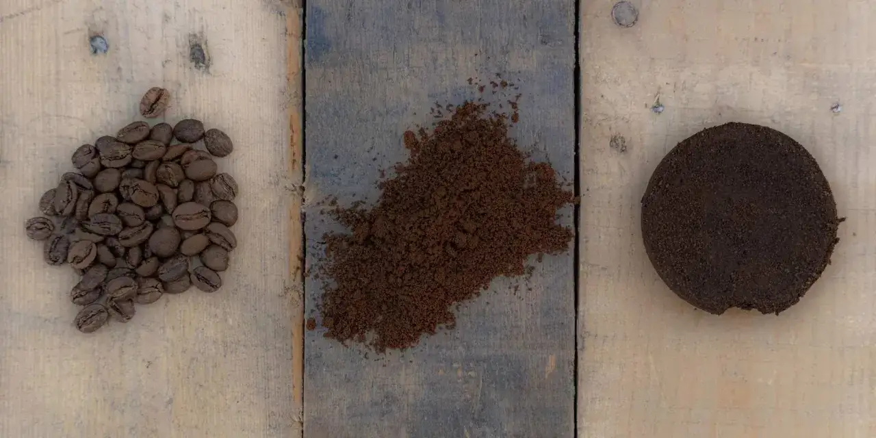 Kaffeebohnen, gemahlener Kaffee und ein Kaffeepuck auf Holz. Vielleicht war der Espresso zu bitter, weil die Bohnen zu dunkel geröstet wurden.