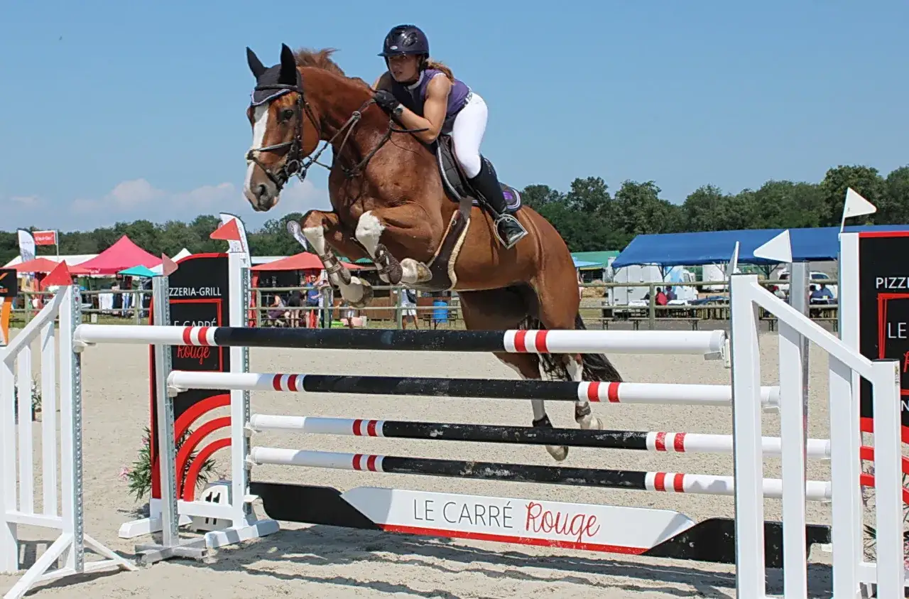 Une cavali&egrave;re et son cheval brun sautent un obstacle lors d'une comp&eacute;tition de cso &eacute;quitation.