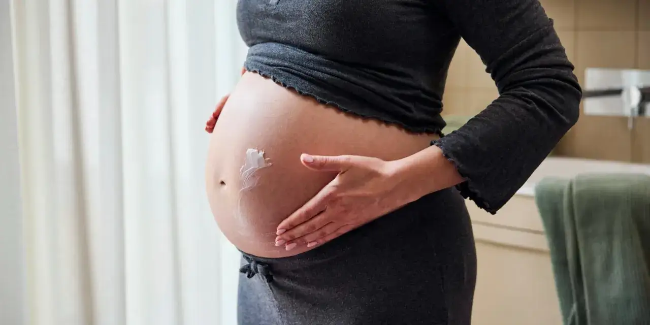 Gravid mage smörjs med kräm, kanske bio oil gravid, för att vårda huden under graviditeten.