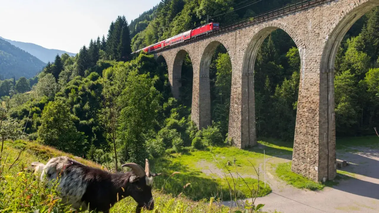 Eine Ziege grast am Hang, während ein roter Zug über eine beeindruckende Steinbogenbrücke fährt. Eine malerische Zugfahrt durch grüne Berge.