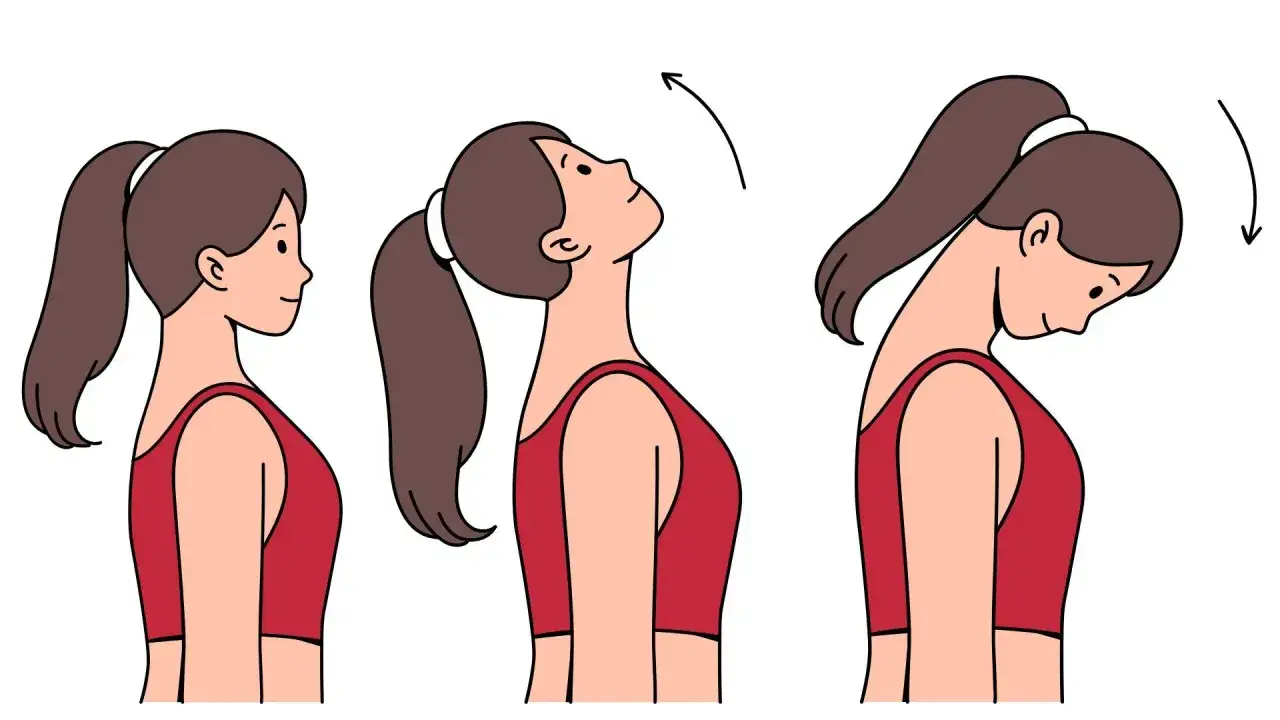Sequenza di esercizi per lo stretching cervicale: inclinazione del capo all'indietro e poi in avanti.