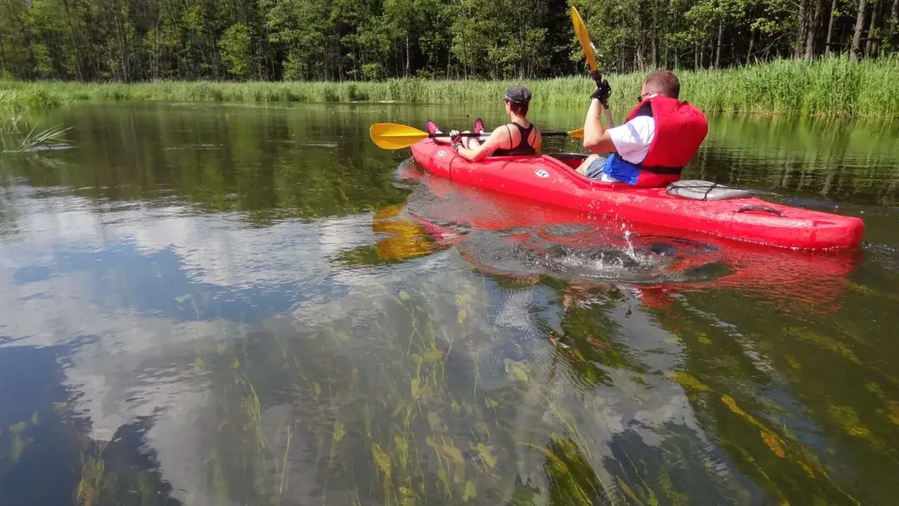 Zwei Personen paddeln in einem roten Kajak auf dem Jezioro Mamry. Das klare Wasser gibt den Blick auf Wasserpflanzen frei.